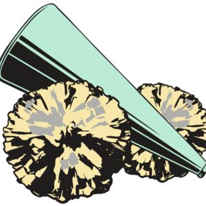 BAW CHEER 19 RC Thumbnail