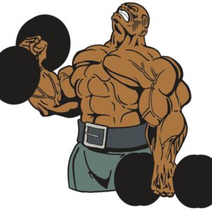 AR WEIGHTS 20 RQC Thumbnail