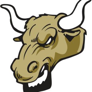 AR3 BULL 02 RQC Thumbnail