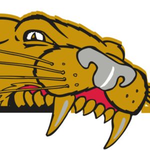 AR COUGAR 73 RC Thumbnail