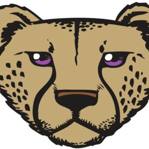 BAW CHEETAH 14 RC Thumbnail