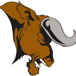 AR5 BULL 07 RQC Thumbnail