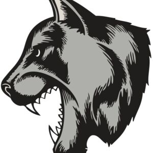 BAW COUG PANTH 06 RC Thumbnail