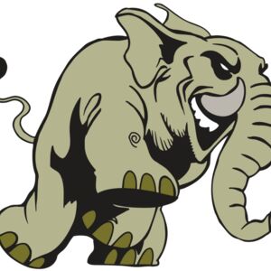 AR5 Elephant 16 RQC Thumbnail