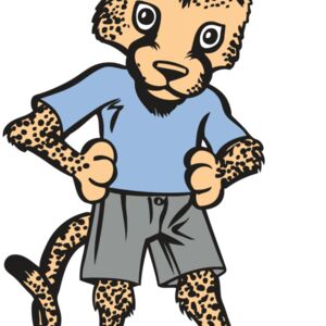 BAW CHEETAH 03 RC Thumbnail