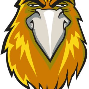 HAWK HD0501 RQC Thumbnail