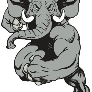 AR ELEPH 18 RC Thumbnail