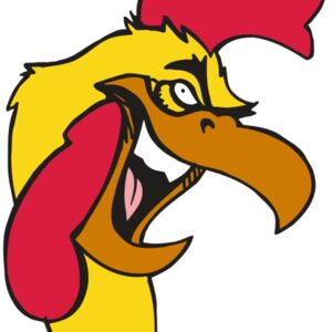 AR5 Gamecock 08 RQC Thumbnail