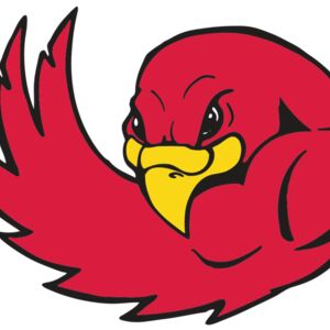 AR FALCON 18 RC Thumbnail