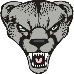 BAW CHEETAH 15 RC Thumbnail