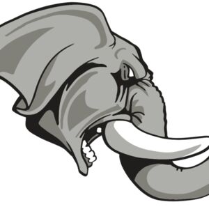 AR ELEPH 20 RC Thumbnail