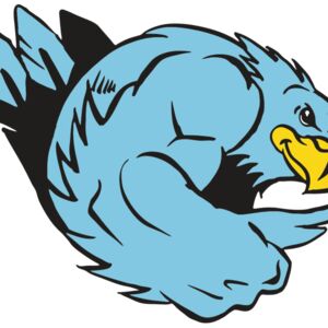 AR HAWK 24 RC Thumbnail