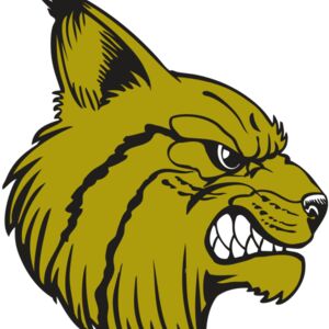 BAW BOBCAT 16 RC Thumbnail