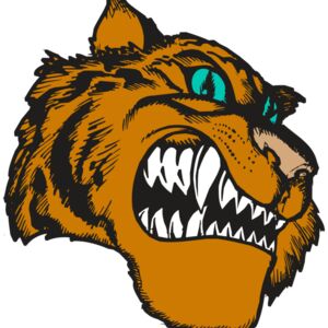 BAW TIGER 11 RC Thumbnail