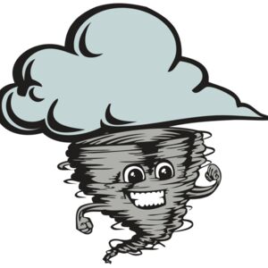 BAW STORM 13 RC Thumbnail