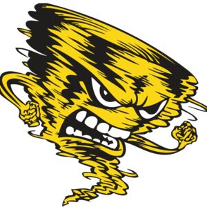 BAW STORM 08 RC Thumbnail