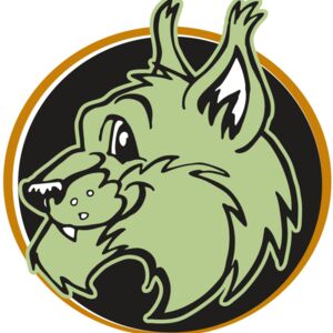 AR WILDCAT 17 RC Thumbnail