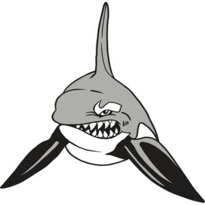 AR19 ORCA 03 RQC Thumbnail