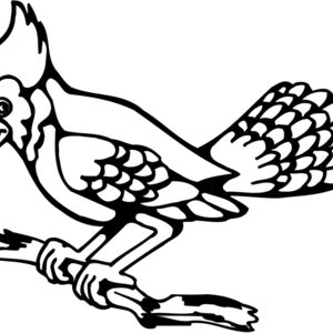 BIRD035 Thumbnail