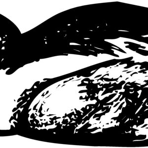 BIRD099 Thumbnail