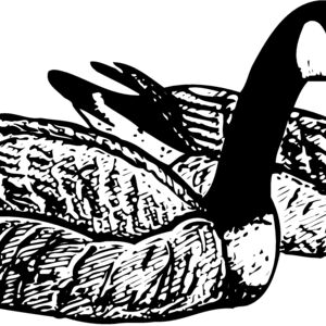BIRD100 Thumbnail