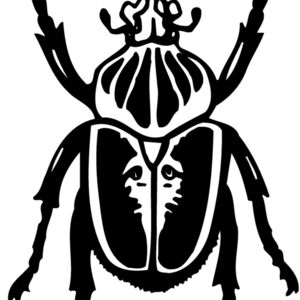 BEETLE04 Thumbnail