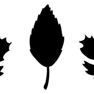 LEAF001 Thumbnail