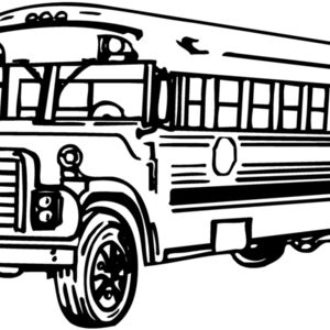 BUS005 Thumbnail