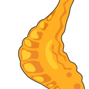 Cartoon SeaHorse2 Thumbnail