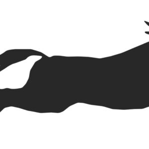 Horse Silhouette 40 Thumbnail