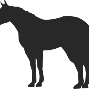 Horse Silhouette 10 Thumbnail