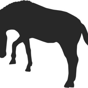 Horse Silhouette 56 Thumbnail