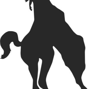 Horse Silhouette 36 Thumbnail