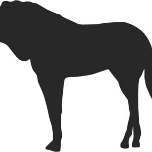Horse Silhouette 31 Thumbnail
