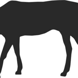 Horse Silhouette 8 Thumbnail