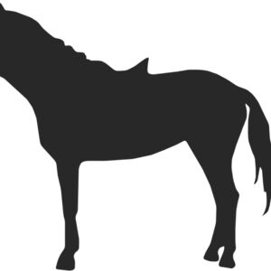Horse Silhouette 43 Thumbnail