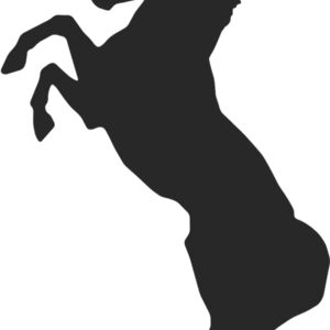 Horse Silhouette 35 Thumbnail