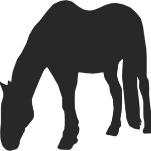 Horse Silhouette 48 Thumbnail