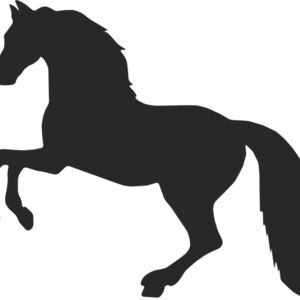 Horse Silhouette 45 Thumbnail