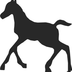 Horse Silhouette 53 Thumbnail