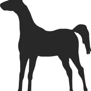 Horse Silhouette 33 Thumbnail