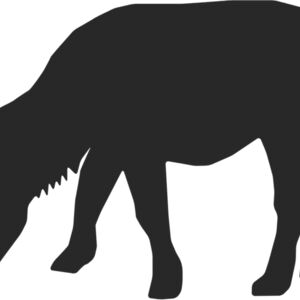 Horse Silhouette 52 Thumbnail