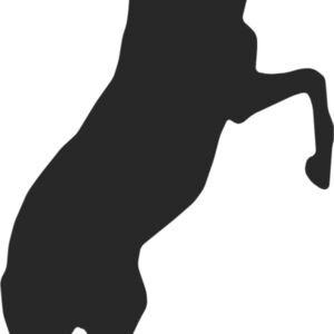 Horse Silhouette 5 Thumbnail