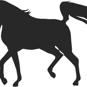 Horse Silhouette 29 Thumbnail