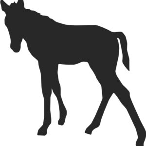Horse Silhouette 41 Thumbnail