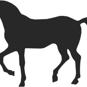 Horse Silhouette 28 Thumbnail