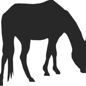 Horse Silhouette 58 Thumbnail