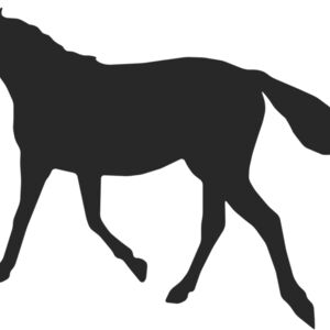 Horse Silhouette 21 Thumbnail