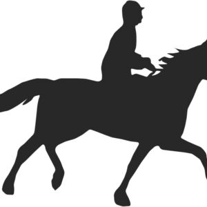 Horseback Silhouette 19 Thumbnail