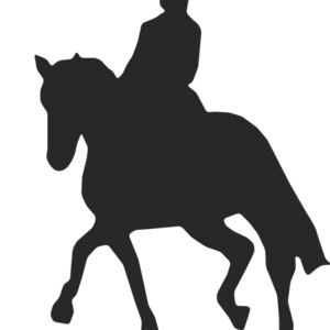 Horseback Silhouette 28 Thumbnail